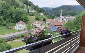 Steepleview House, Renchtalblick Apartment - Cozy & Serene Apartment For 2